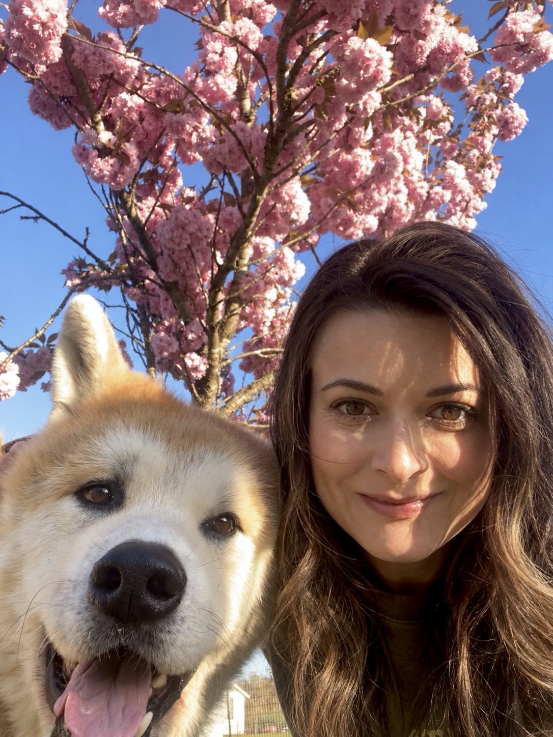 Kasey Bentz smiling in a close-up selfie beside her Akita, Rainier, in front of a blooming cherry tree against a blue sky