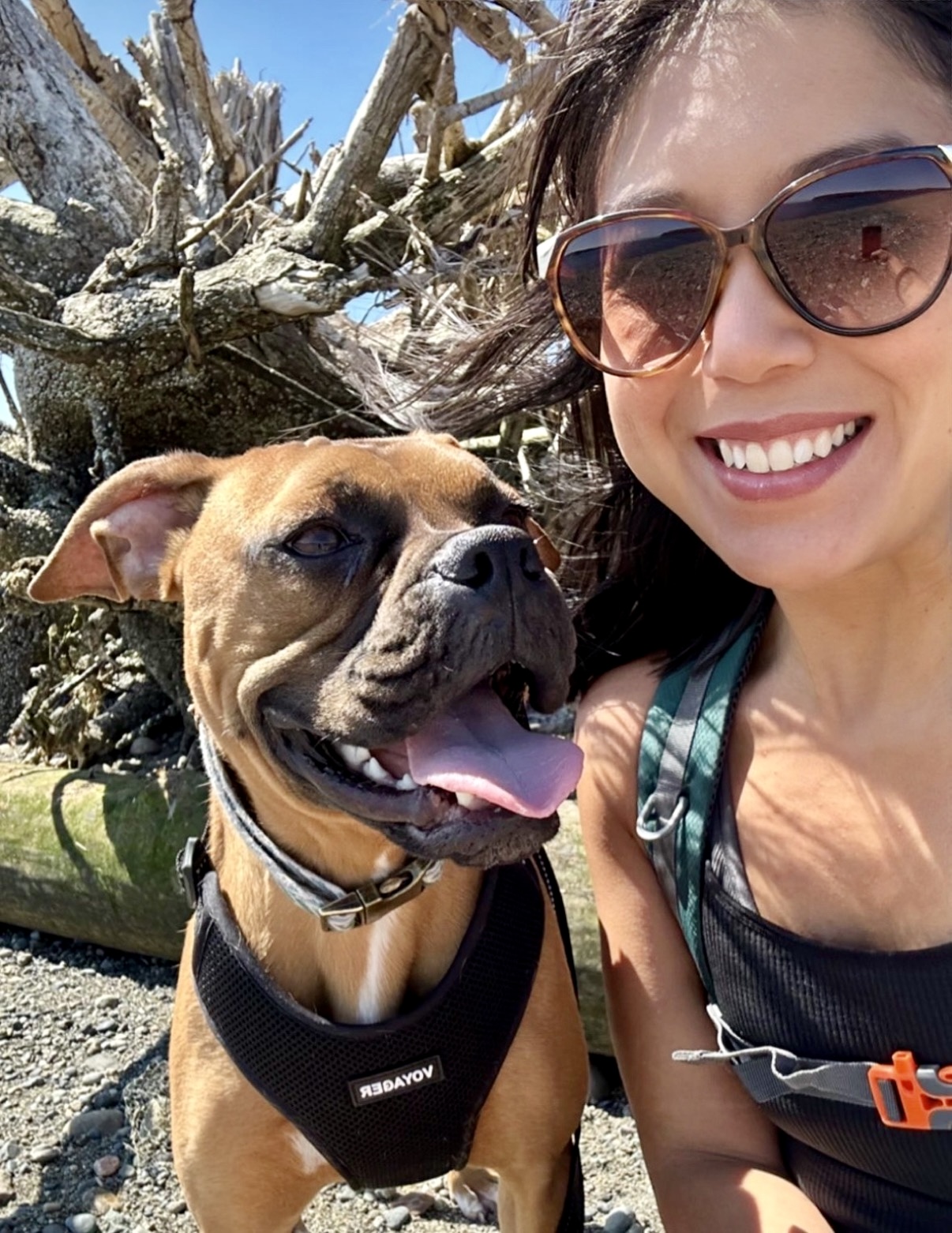 Kristina Neto smiling in sunglasses beside her Boxer, Tama, on a driftwood beach